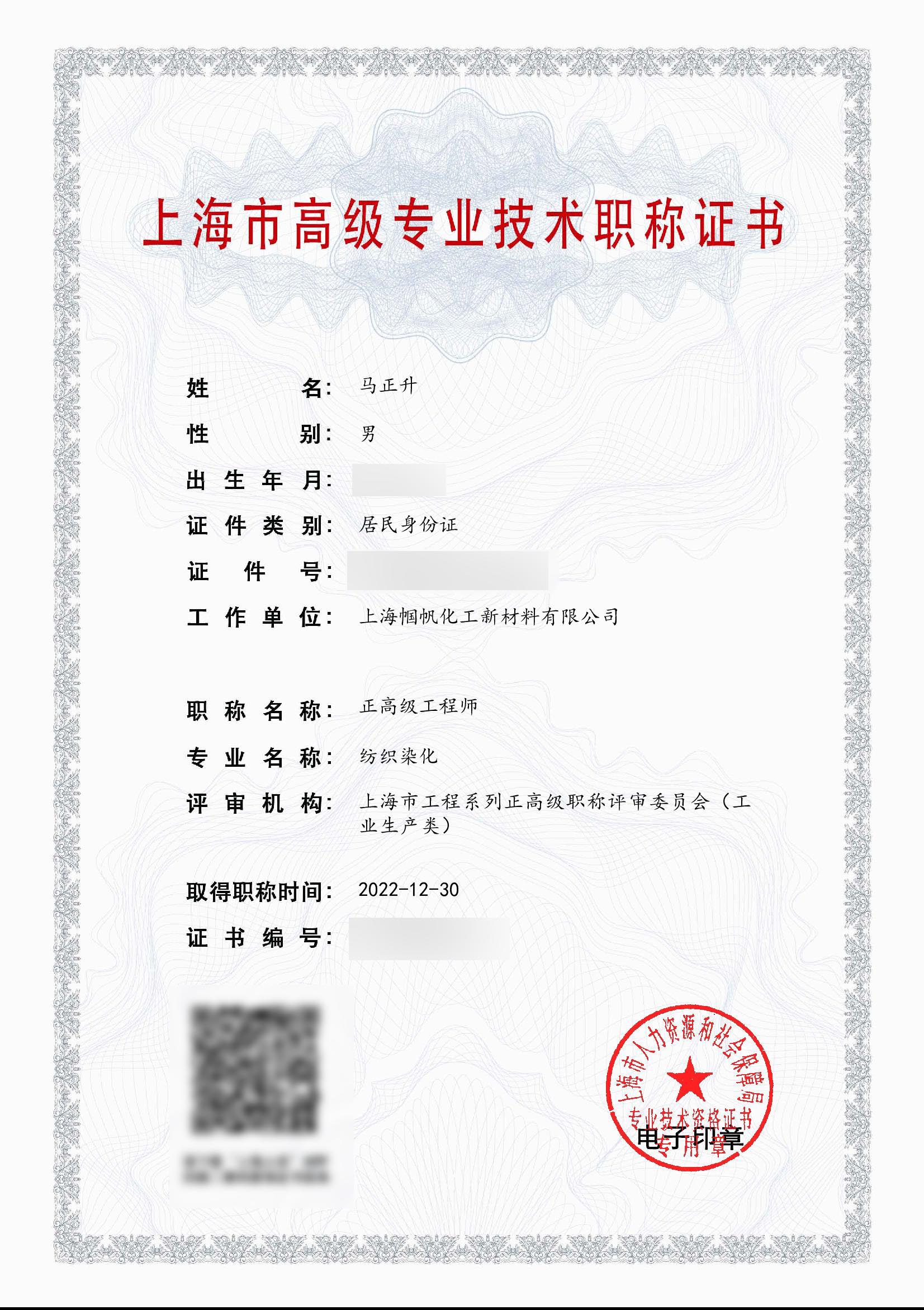 Senior engineer at the professional level