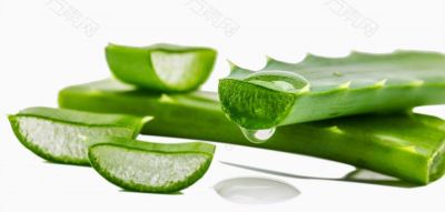 Aloe  skin-care finishing agent JYK ALS