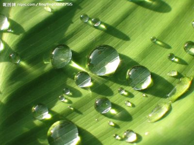 Non-ionic fluorocarbon waterproof and oil repellent 